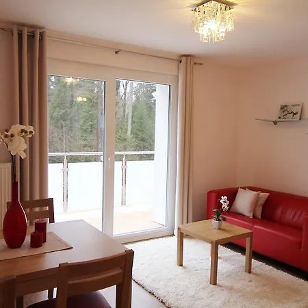 Der Buchenhof Apartment Braunlage Room photo